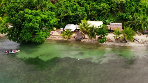 aerial view of a tropical beach